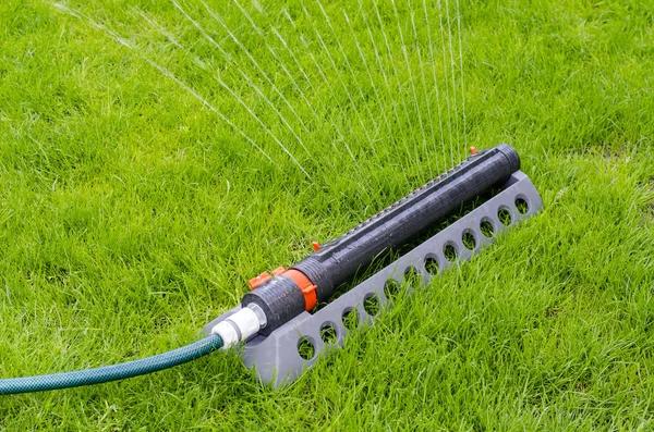 Professional Solutions for Loganville Drain Field Problems